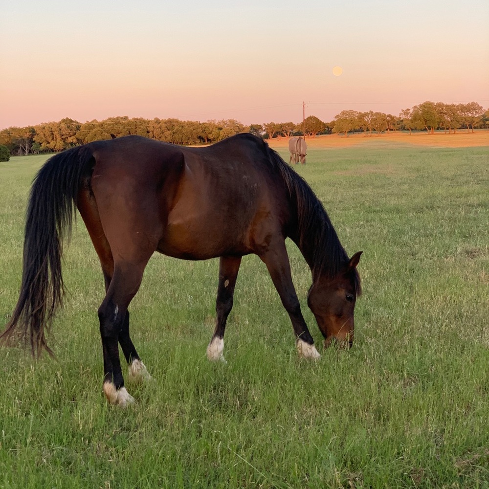 Meet your Posher, Mary